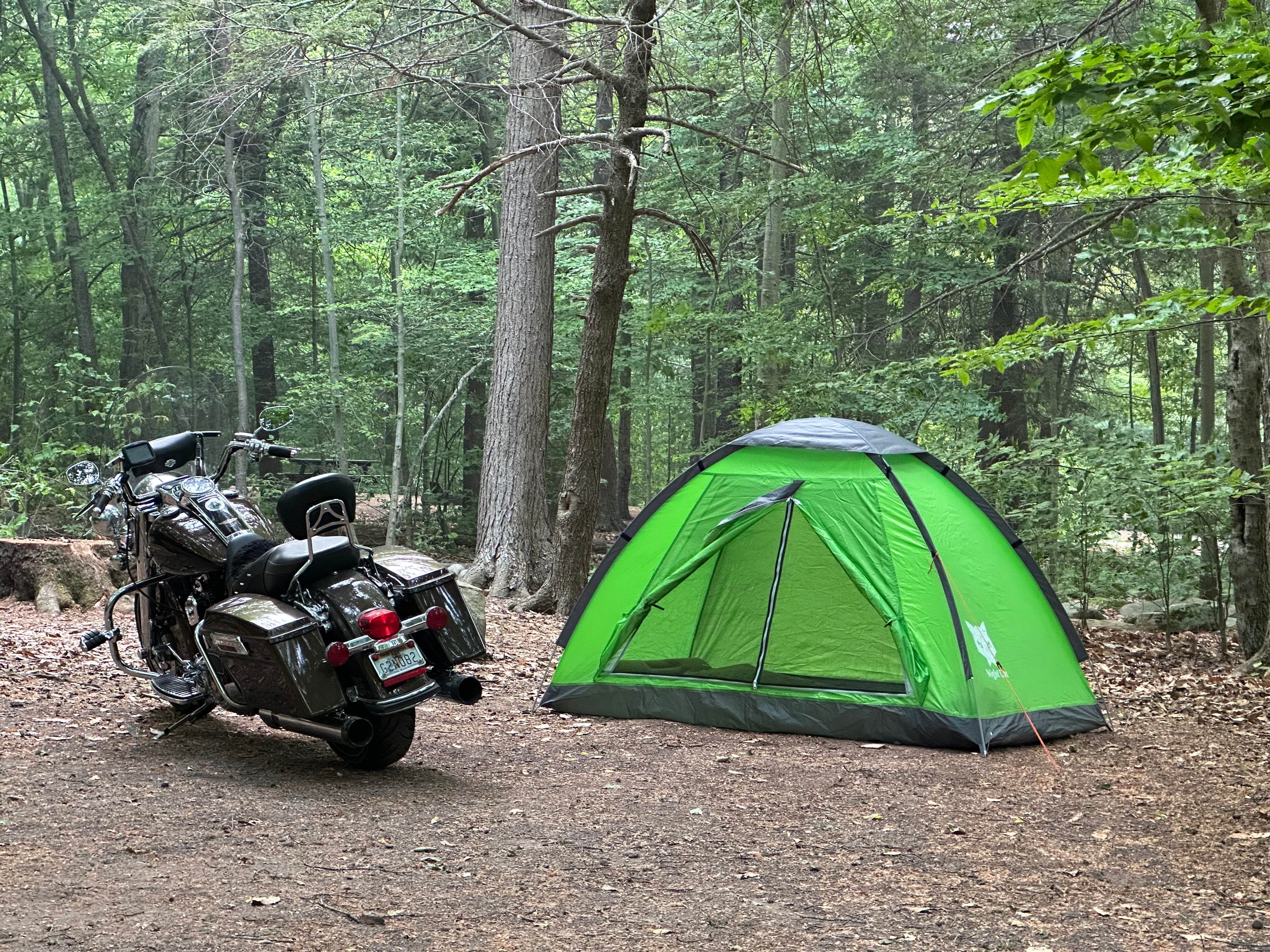 Emily C.'s photo at Ricketts Glen State Park Campground near Luzerne, PA