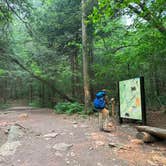 Review photo of Ricketts Glen State Park Campground by Emily C., October 23, 2023