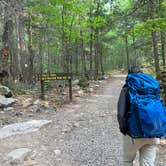 Review photo of Ricketts Glen State Park Campground by Emily C., October 23, 2023