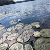 Review photo of Ricketts Glen State Park Campground by Vanessa S., July 20, 2024