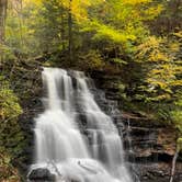 Review photo of Ricketts Glen State Park Campground by Emily C., October 20, 2023