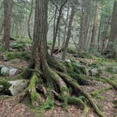 Review photo of Ricketts Glen State Park Campground by Vanessa S., July 20, 2024