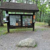 Review photo of Ricketts Glen State Park Campground by Emily C., October 23, 2023