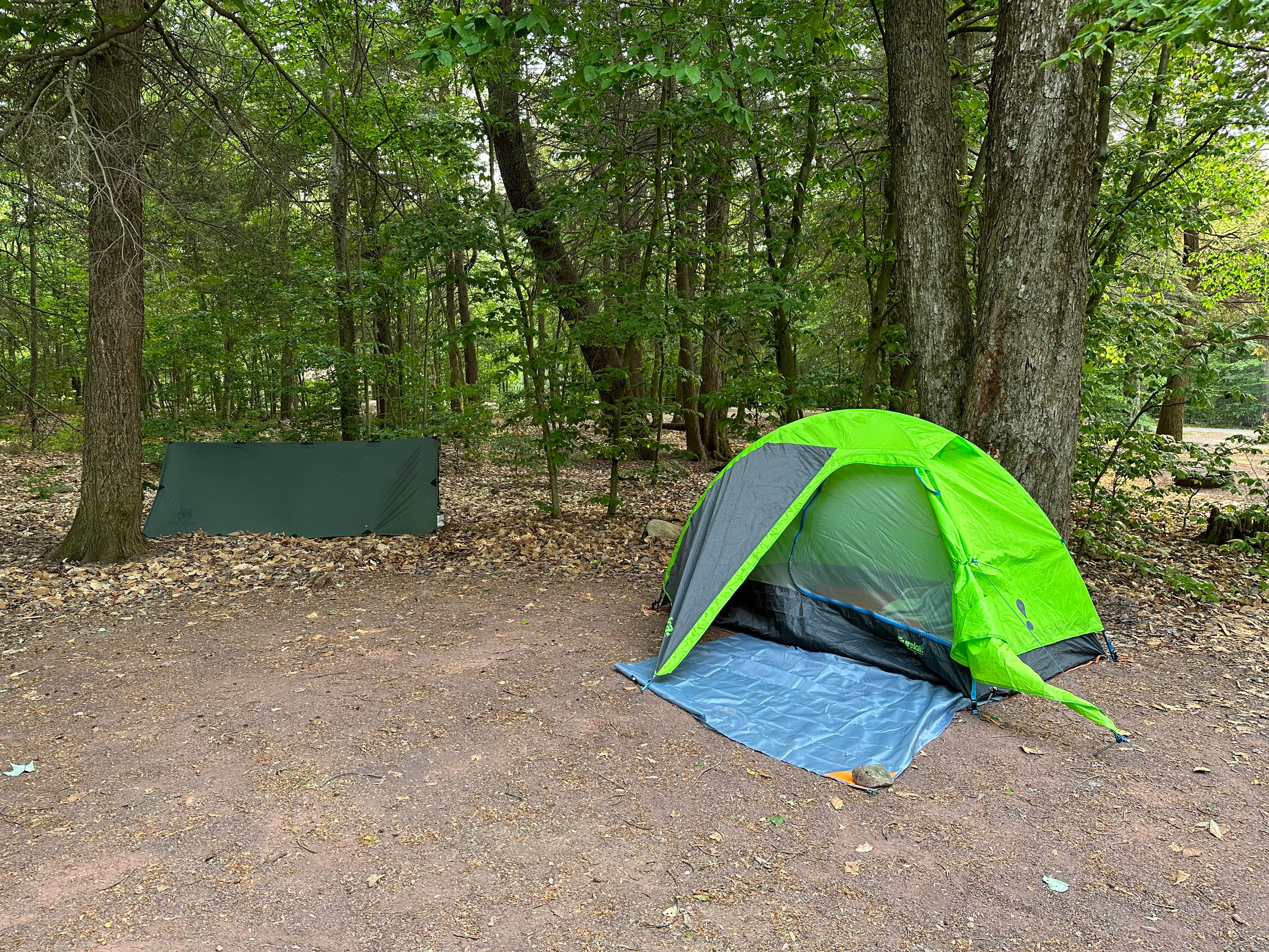 Camping near ricketts top glen state park