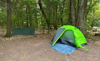 Emily C.'s photo at Ricketts Glen State Park Campground near Sweet Valley, PA