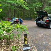 Review photo of Ricketts Glen State Park Campground by Emily C., October 23, 2023