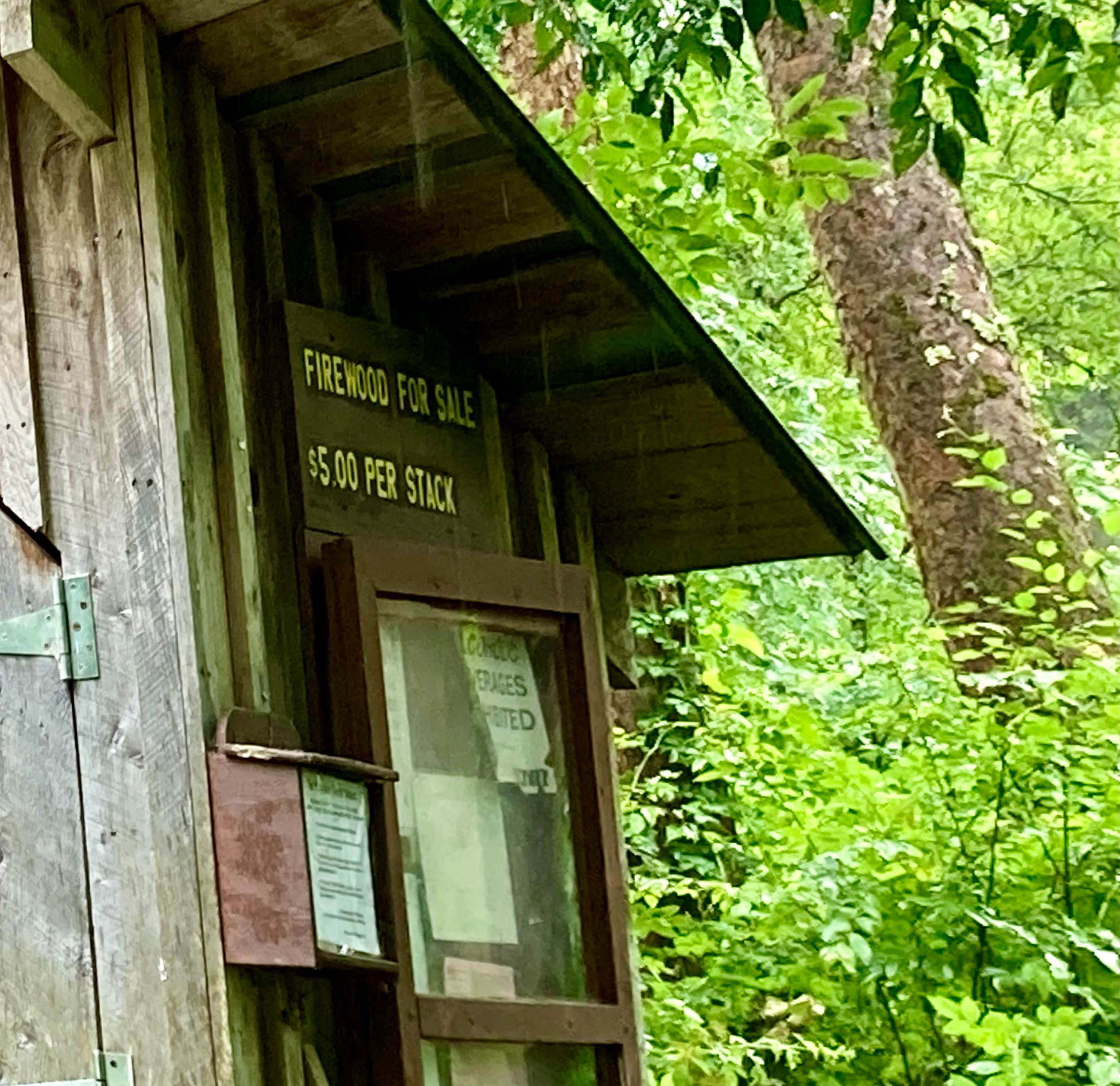 Janet R.'s photo of a cabin at Salt Springs State Park Campground near McGraw, NY
