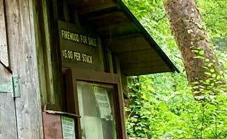 Janet R.'s photo of a cabin at Salt Springs State Park Campground near Factoryville, PA