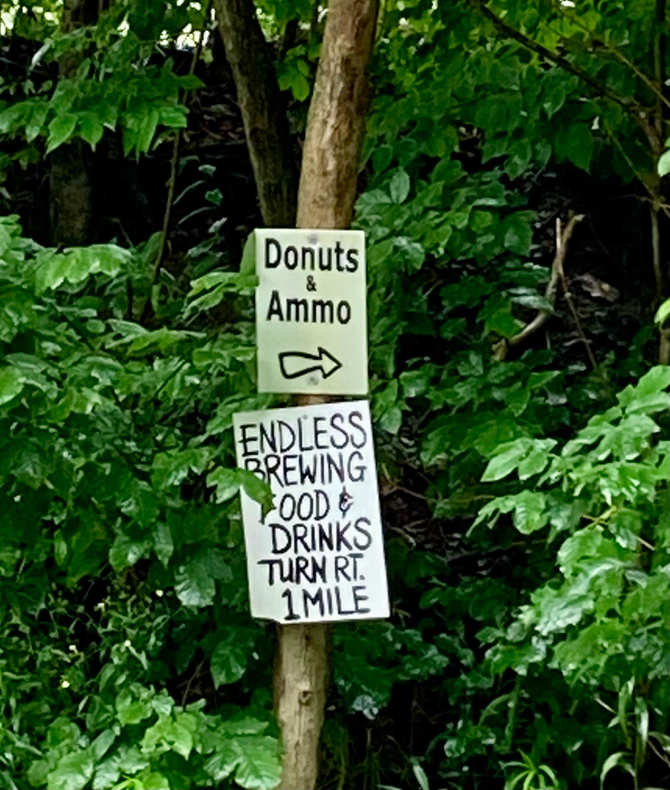 Camping near Hillside Campgrounds: Salt Springs State Park Campground, Brackney, Pennsylvania