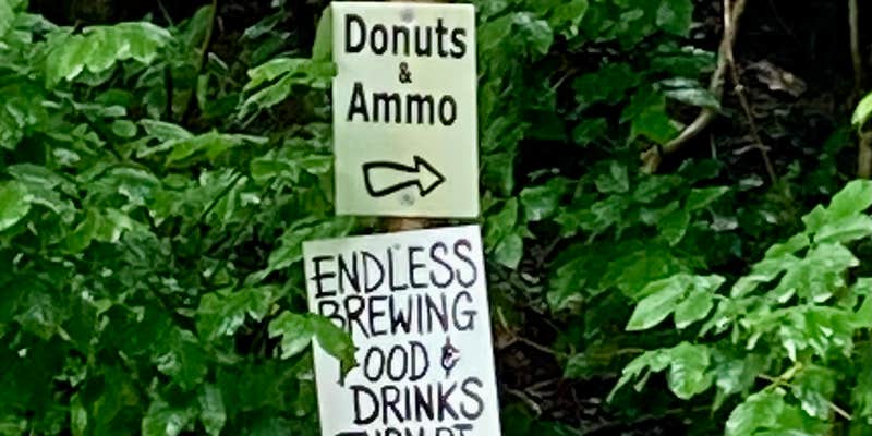 Camper submitted image from Salt Springs State Park Campground