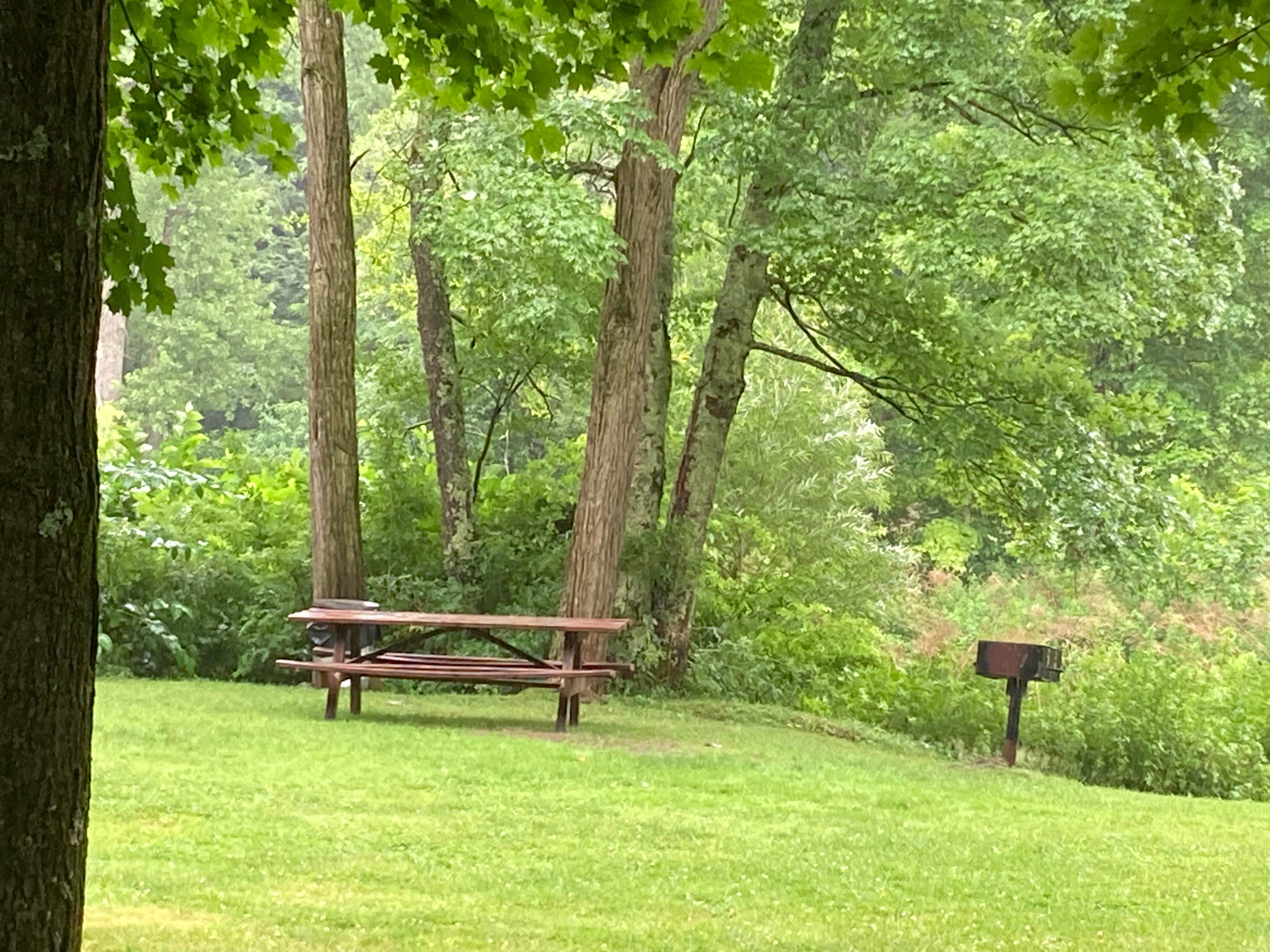 Camper-submitted photo at Salt Springs State Park Campground near Kirkwood, NY