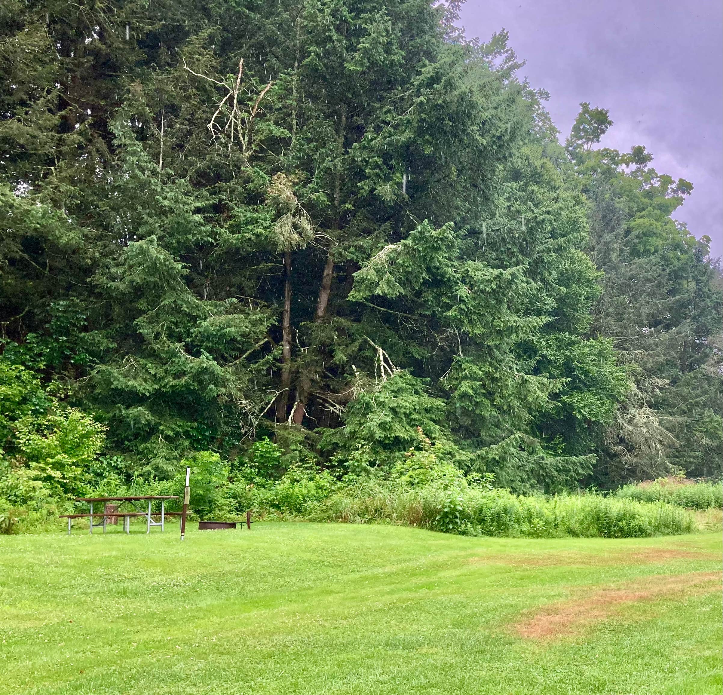 Camper-submitted photo at Salt Springs State Park Campground near Brackney, PA