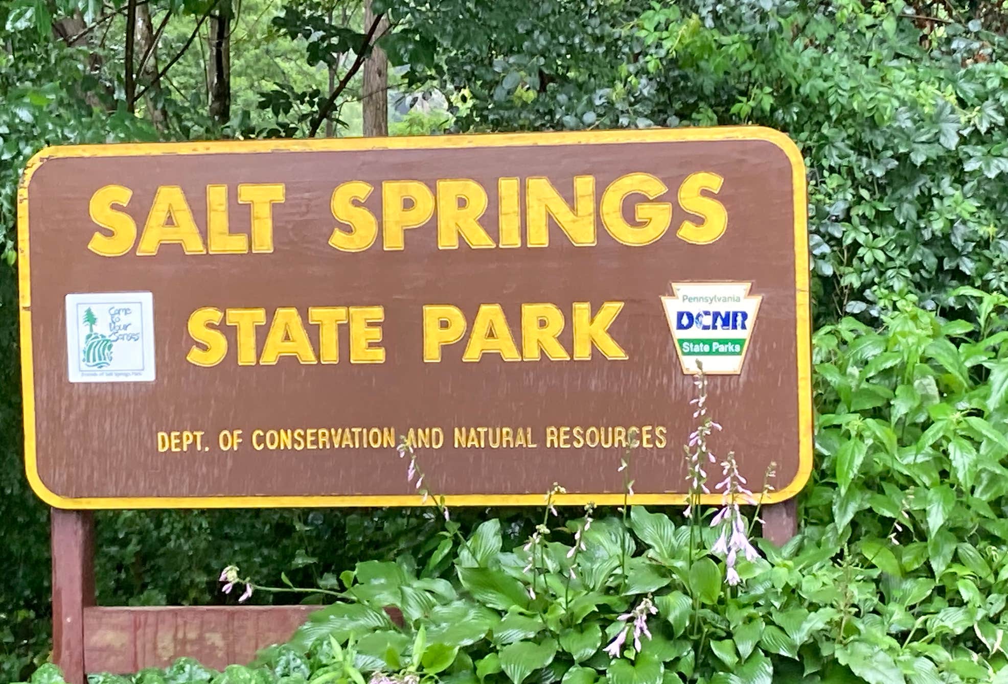 Salt Spring State Salt Springs State Park Campground | Brackney, Pennsylvania