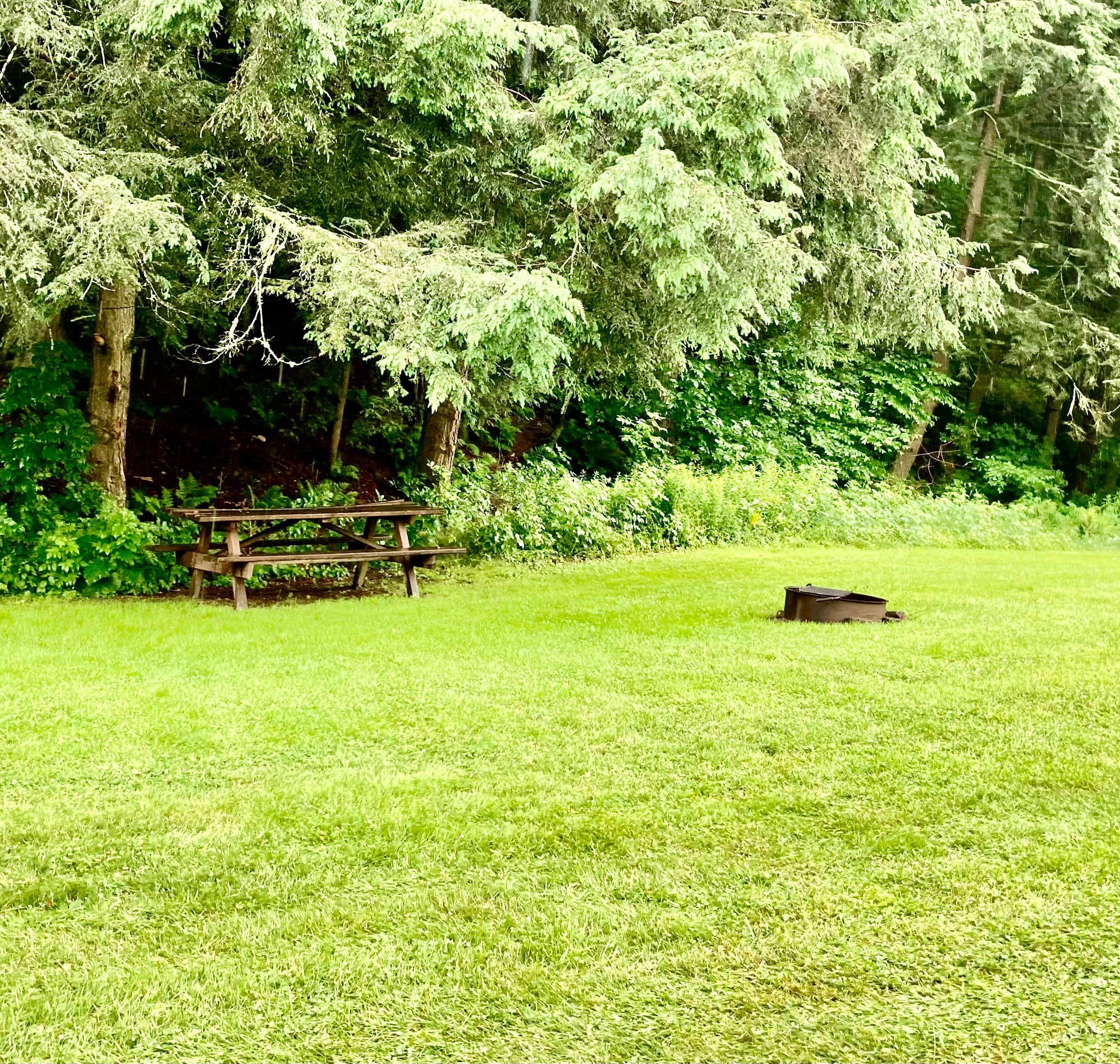 Camper-submitted photo at Salt Springs State Park Campground near Brackney, PA