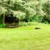 Review photo of Salt Springs State Park Campground by Janet R., June 29, 2024