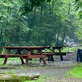 Review photo of Salt Springs State Park Campground by Janet R., June 29, 2024