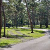 Review photo of Shawnee State Park Campground by Nancy B., August 23, 2026