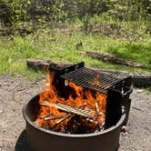 Review photo of Tobyhanna State Park Campground by bianca P., May 23, 2026