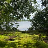 Review photo of Tobyhanna State Park Campground by Anastasia M., July 13, 2026