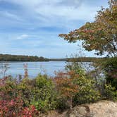 Review photo of Tobyhanna State Park Campground by Lucy P., September 18, 2024