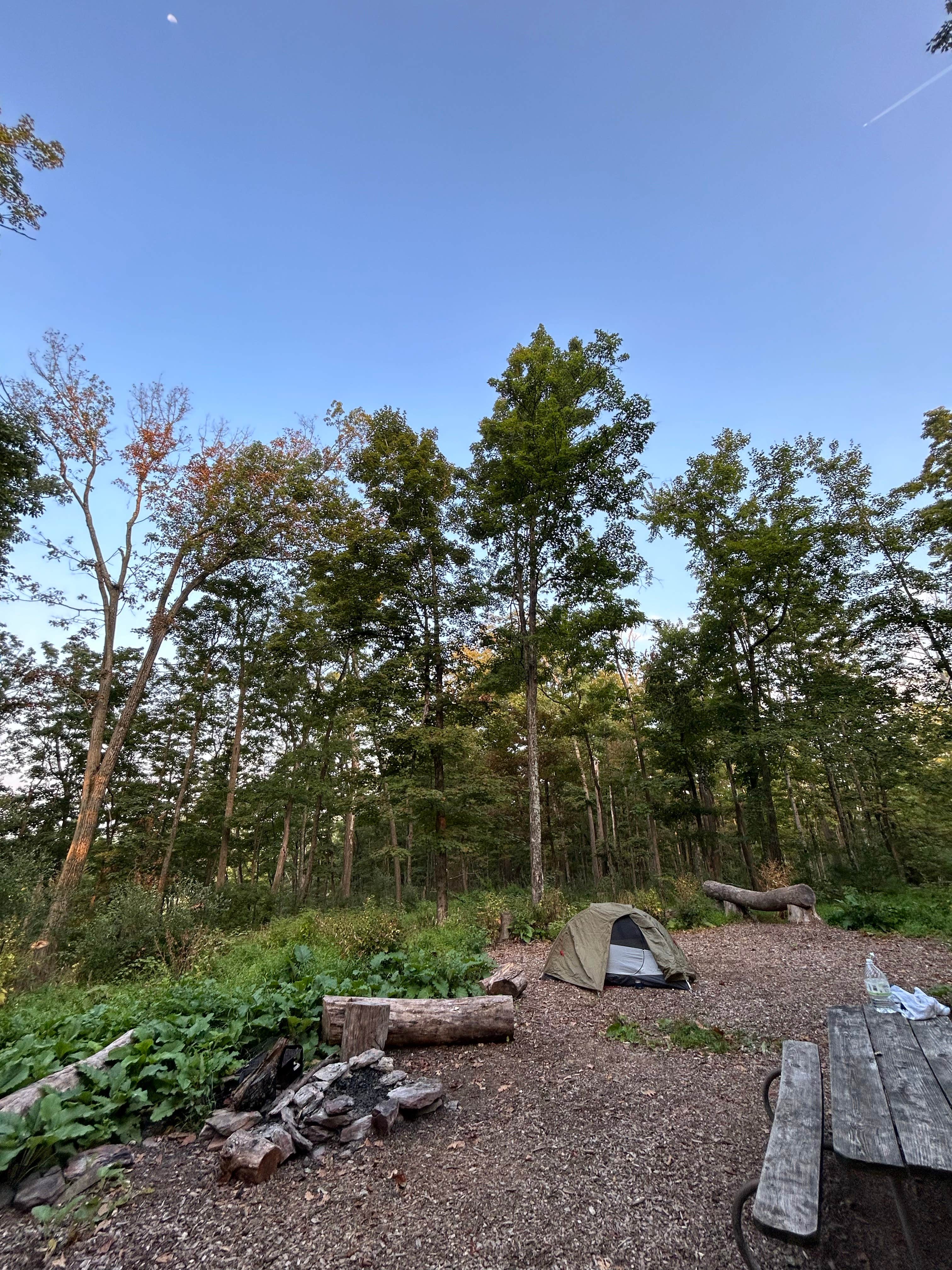 Camper submitted image from Tohickon Valley County Park - 1