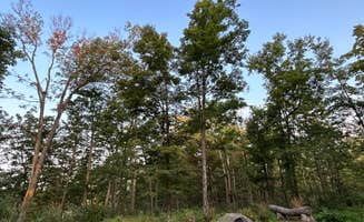 Drew H.'s photo at Tohickon Valley County Park near Souderton, PA
