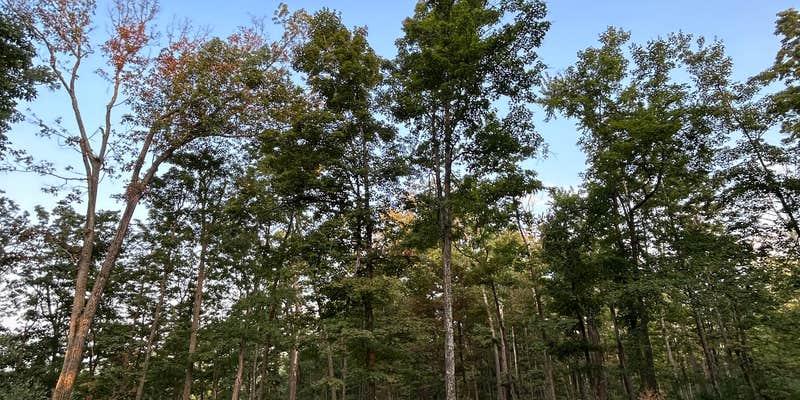 Camper submitted image from Tohickon Valley County Park