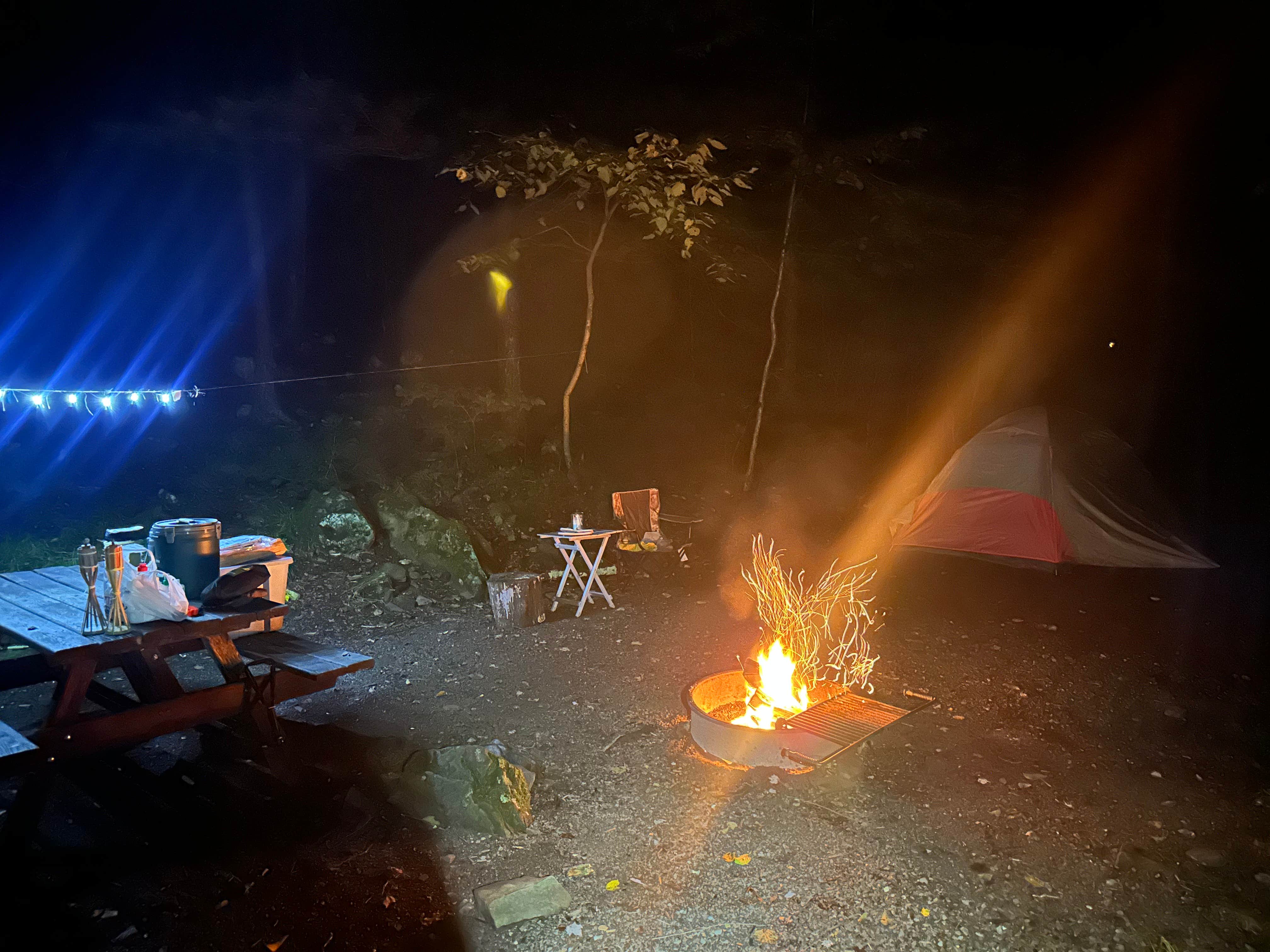 Olivia A.'s photo at Worlds End State Park Campground near Forksville, PA