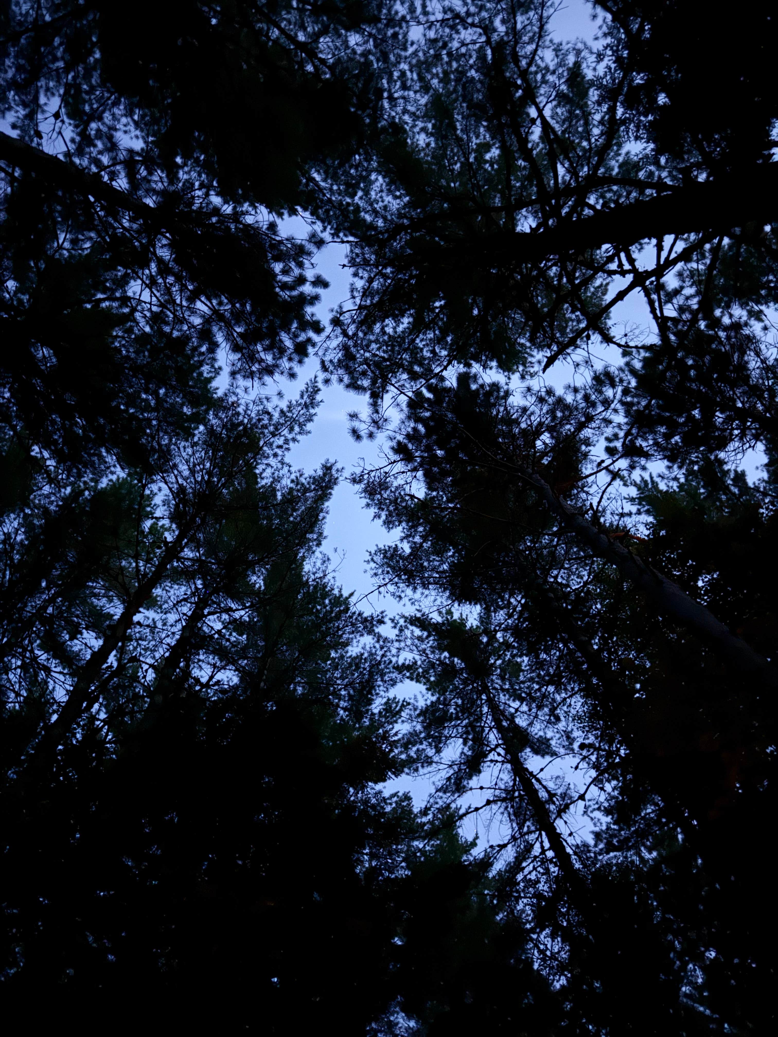 Camper-submitted photo at New England Outdoor Center near Medford, ME