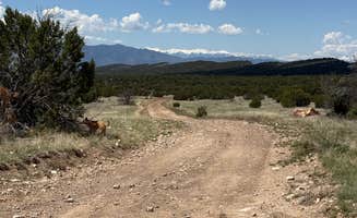 AE K.'s photo of camping with pets at Penrose BLM sites near Pueblo, CO