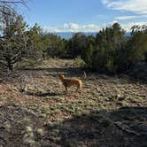 Review photo of Penrose BLM sites by AE K., May 19, 2025