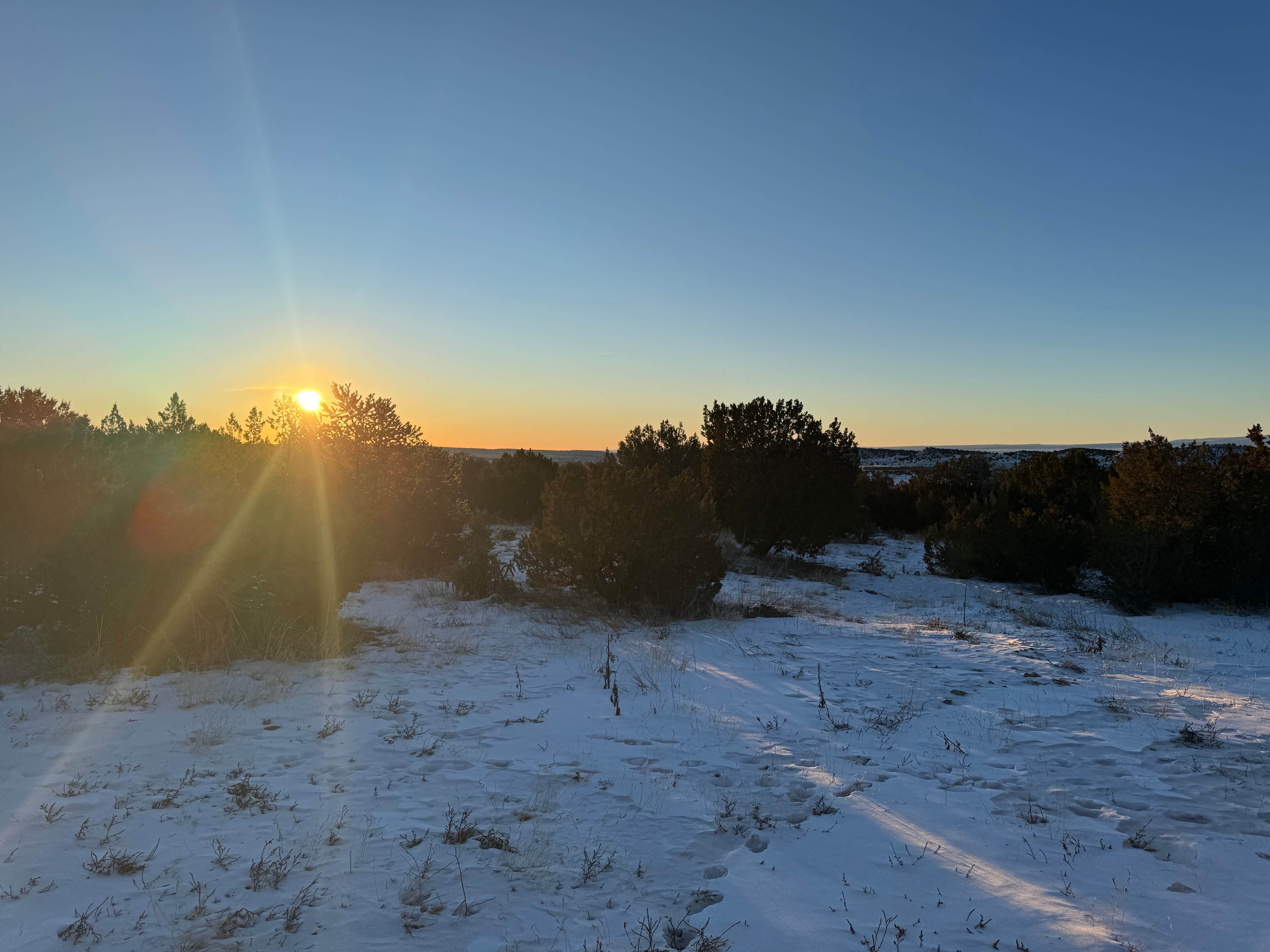 Camper submitted image from Penrose BLM sites - 1