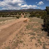 Review photo of Penrose BLM sites by AE K., May 19, 2025
