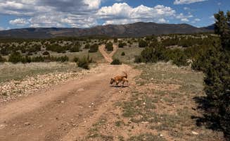AE K.'s photo of a dispersed camping area at Penrose BLM sites near Victor, CO