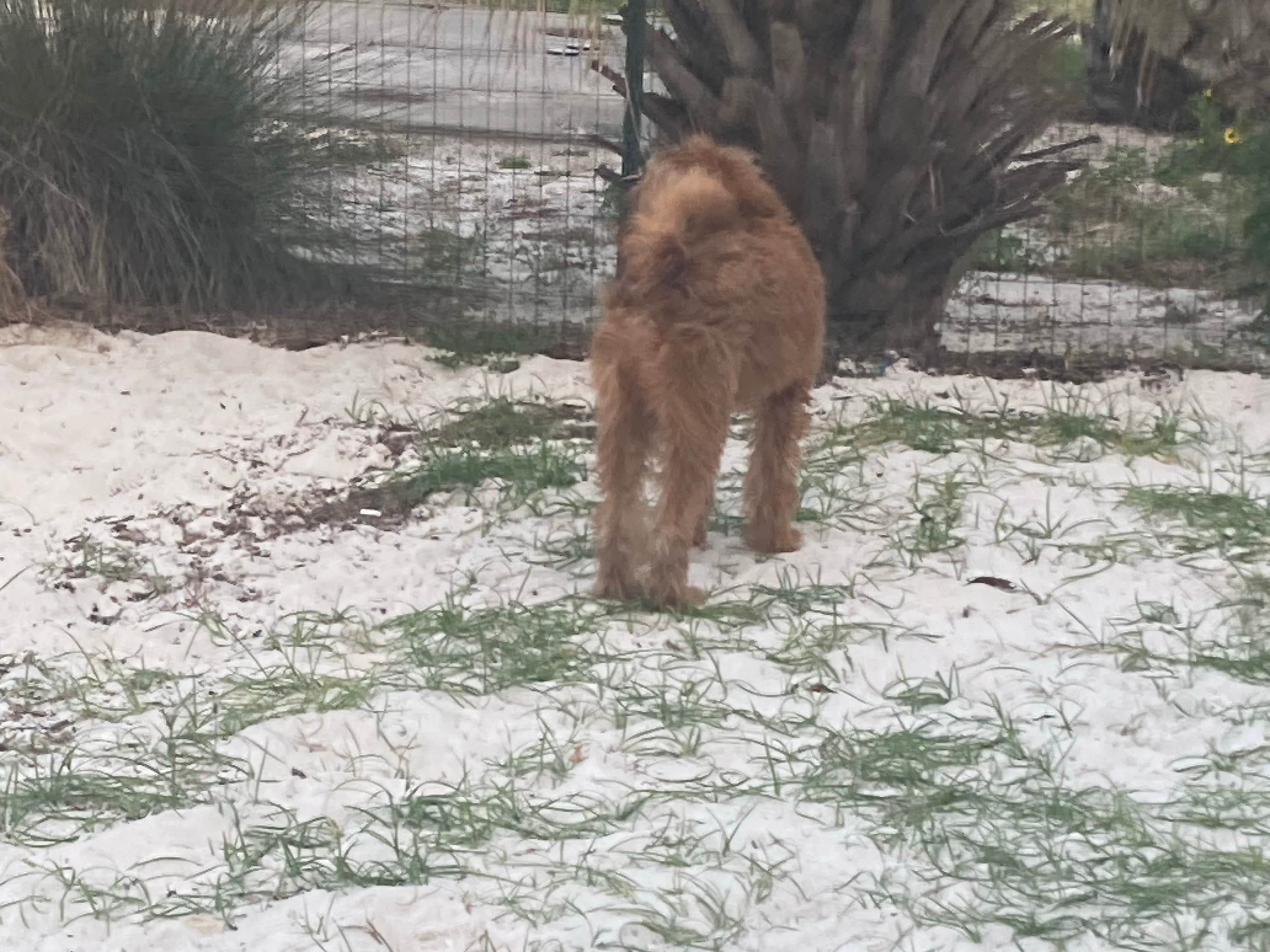 Camper-submitted photo at Pensacola Beach RV Resort near Navarre, FL