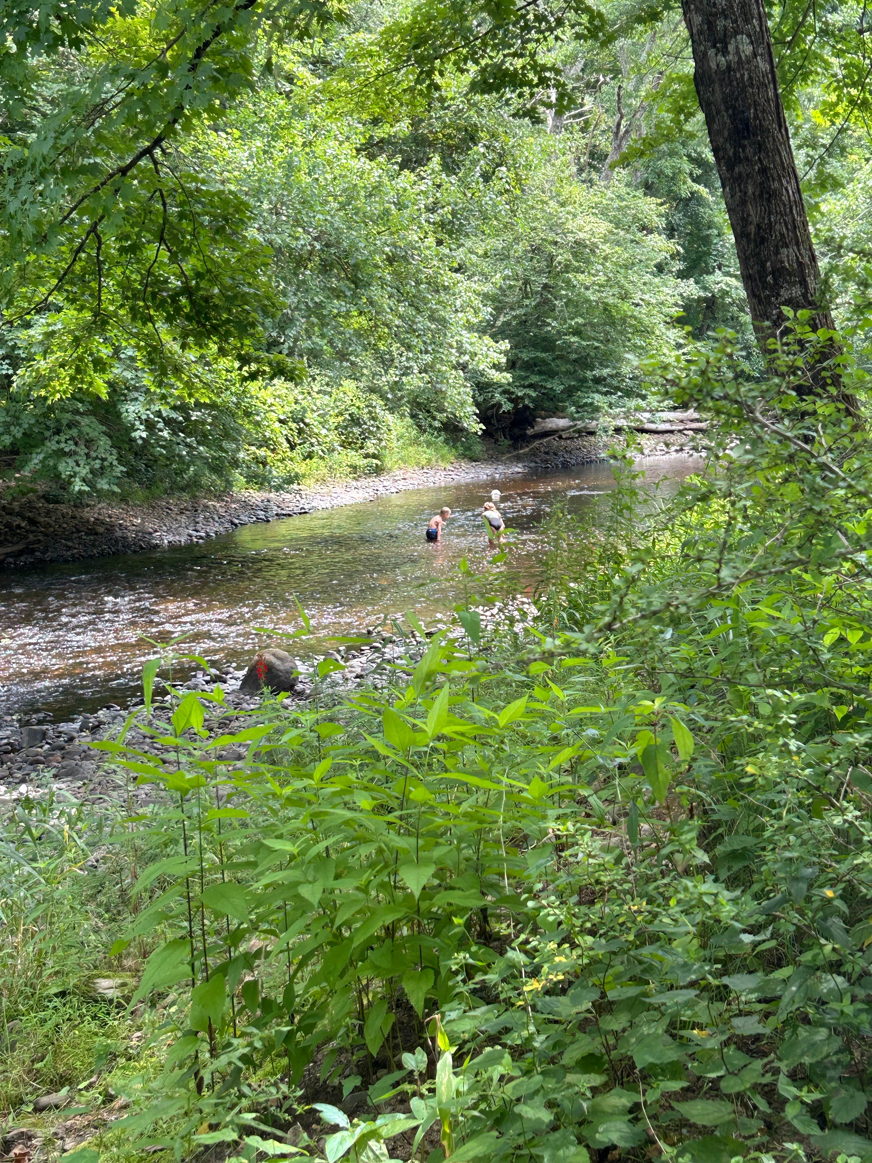 Camper-submitted photo at Peppertree Camping near Eastford, CT