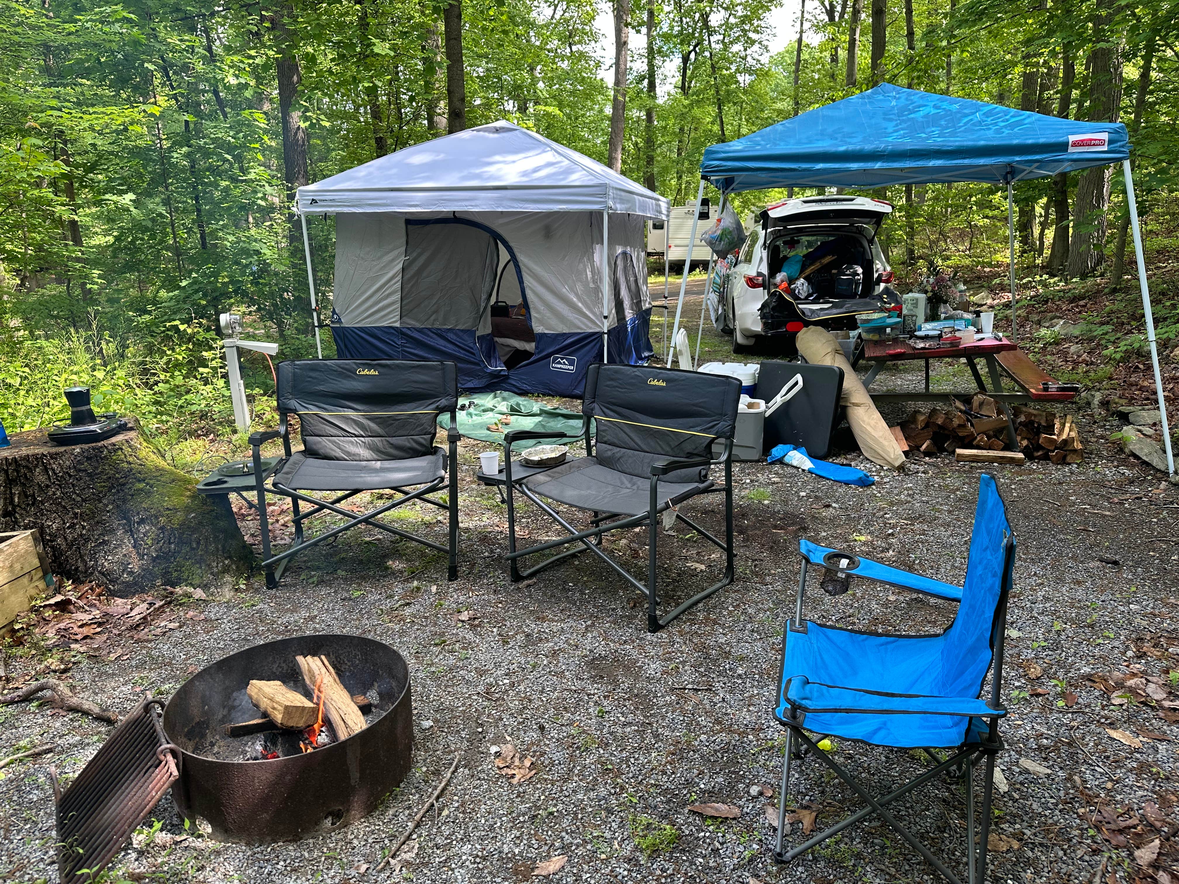 Camper submitted image from Pequea Creek Campground  - 3