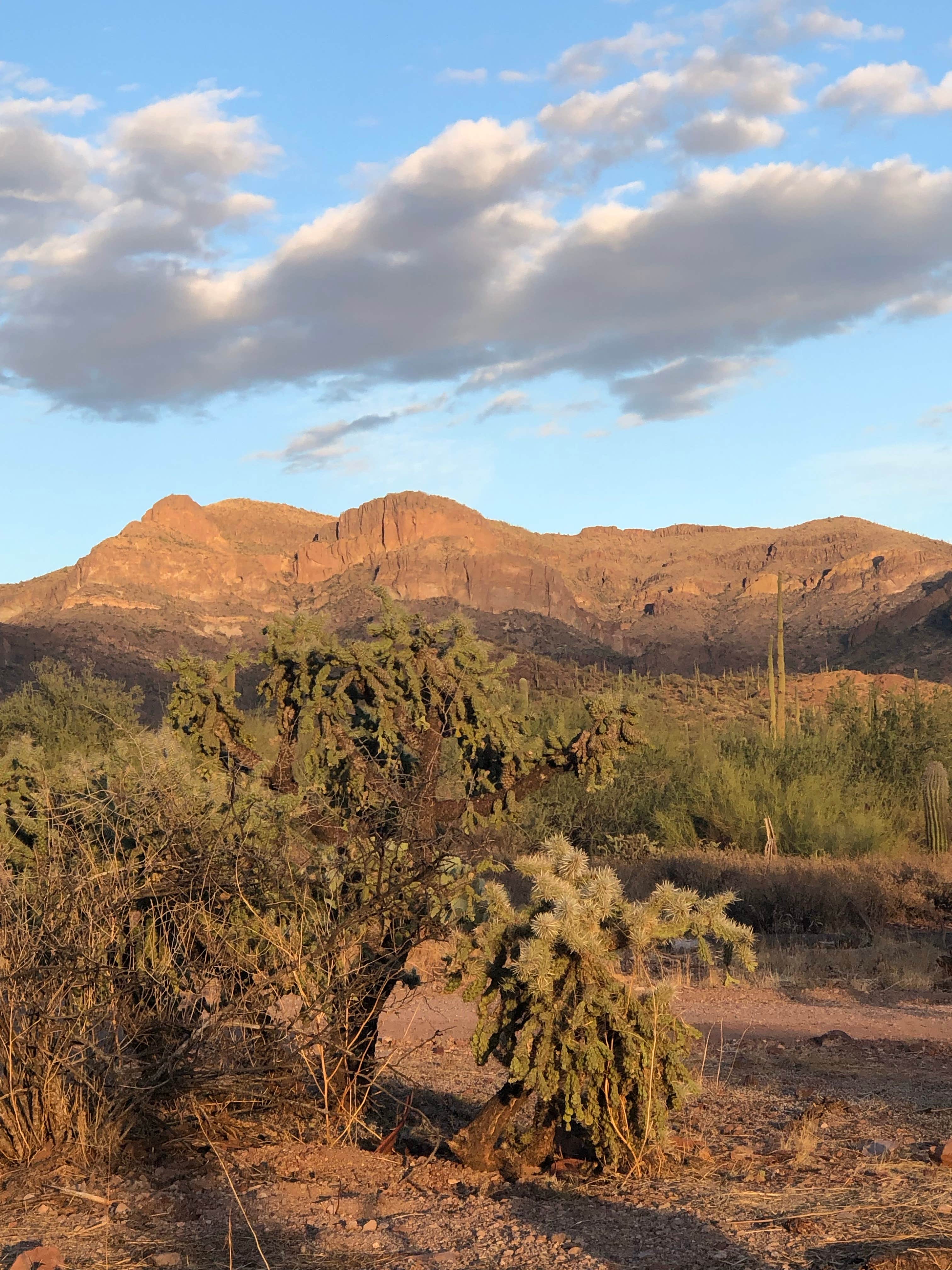 Camper-submitted photo at Peralta Regional Park Primitive Remote Campsites near Gold Canyon, AZ