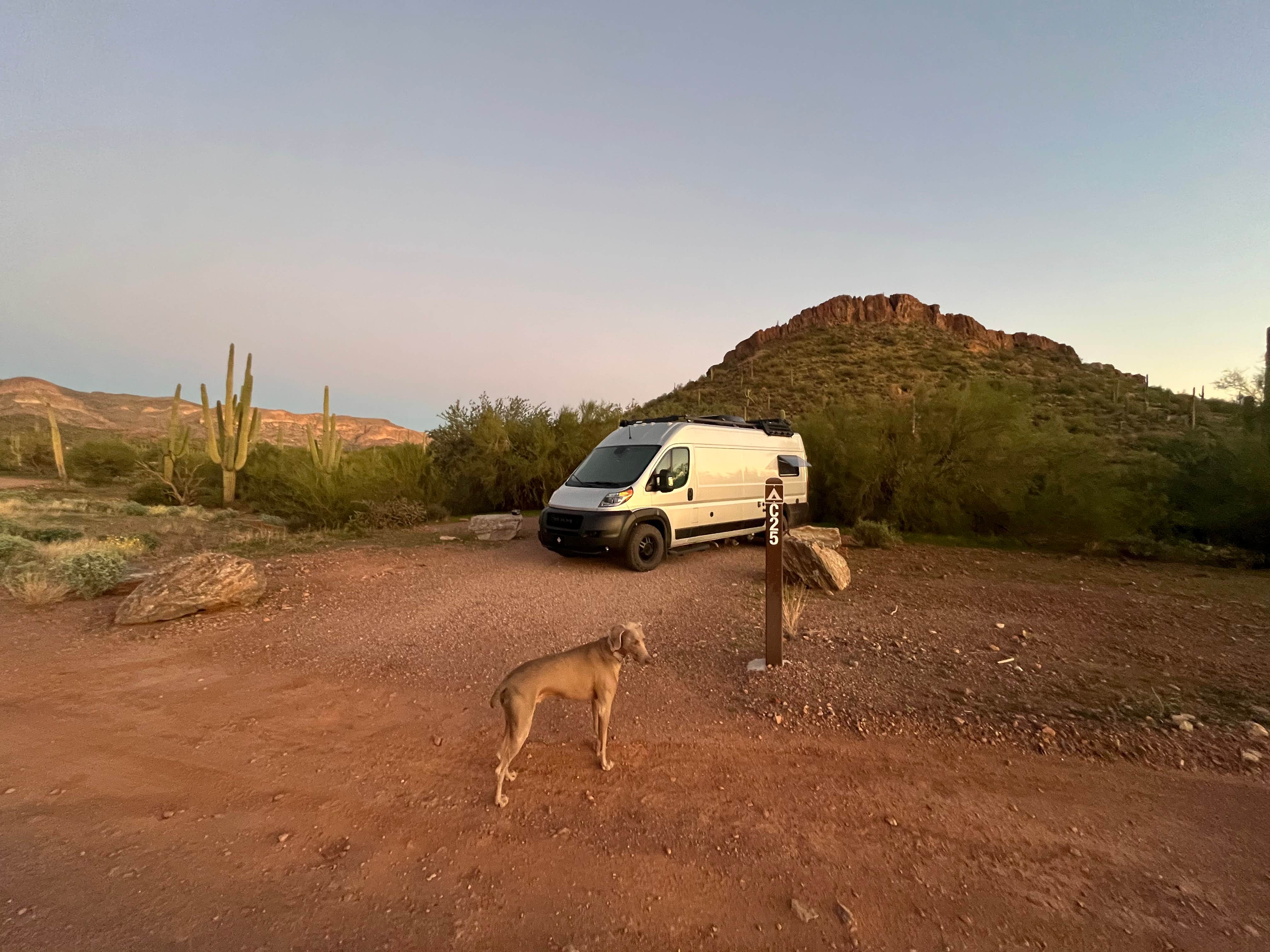 Julie F.'s photo of camping with pets at Peralta Regional Park Primitive Remote Campsites near Mesa, AZ