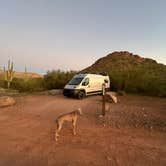 Review photo of Peralta Regional Park Primitive Remote Campsites by Julie F., November 8, 2025