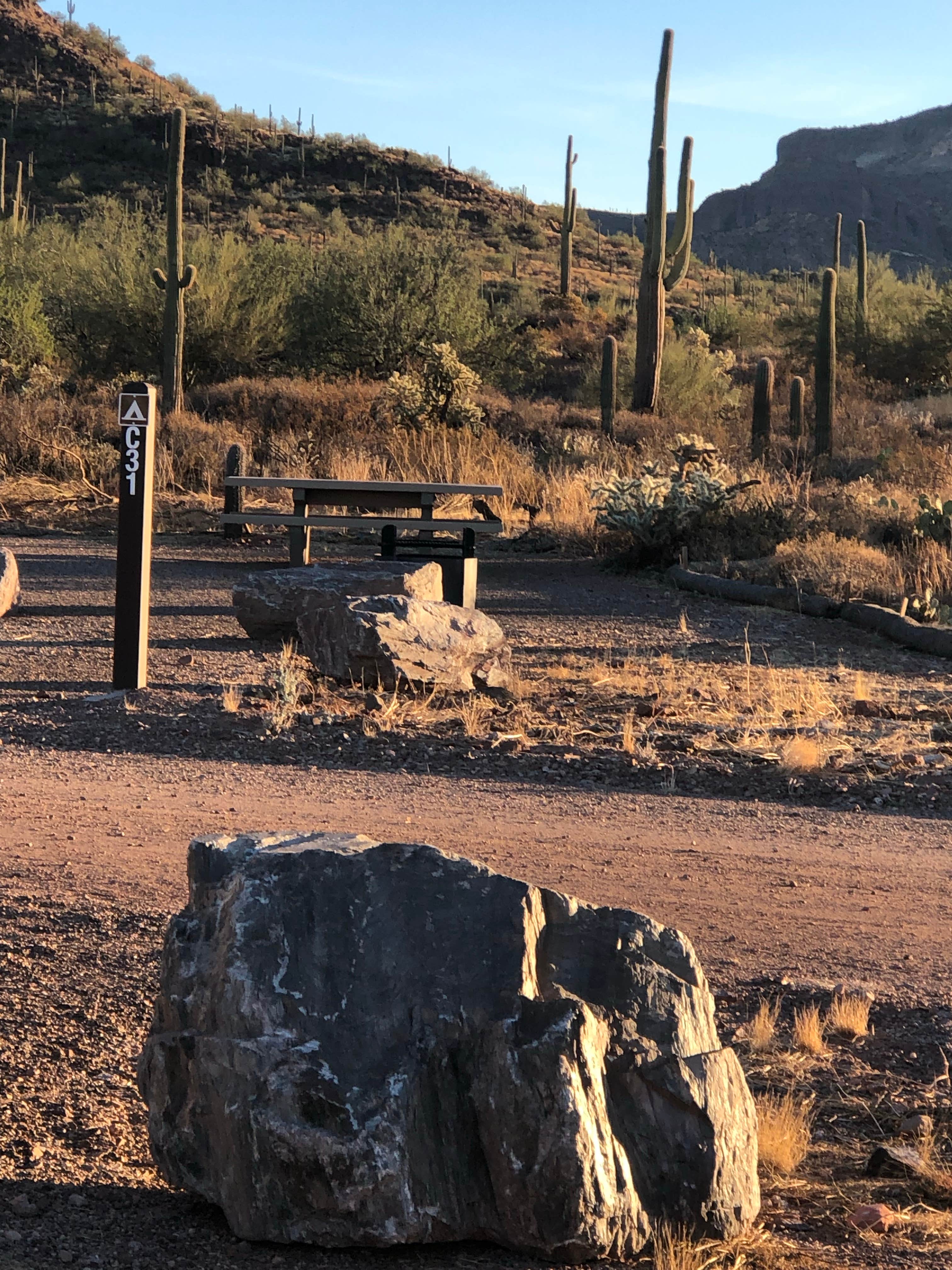 Camper-submitted photo at Peralta Regional Park Primitive Remote Campsites near Gold Canyon, AZ