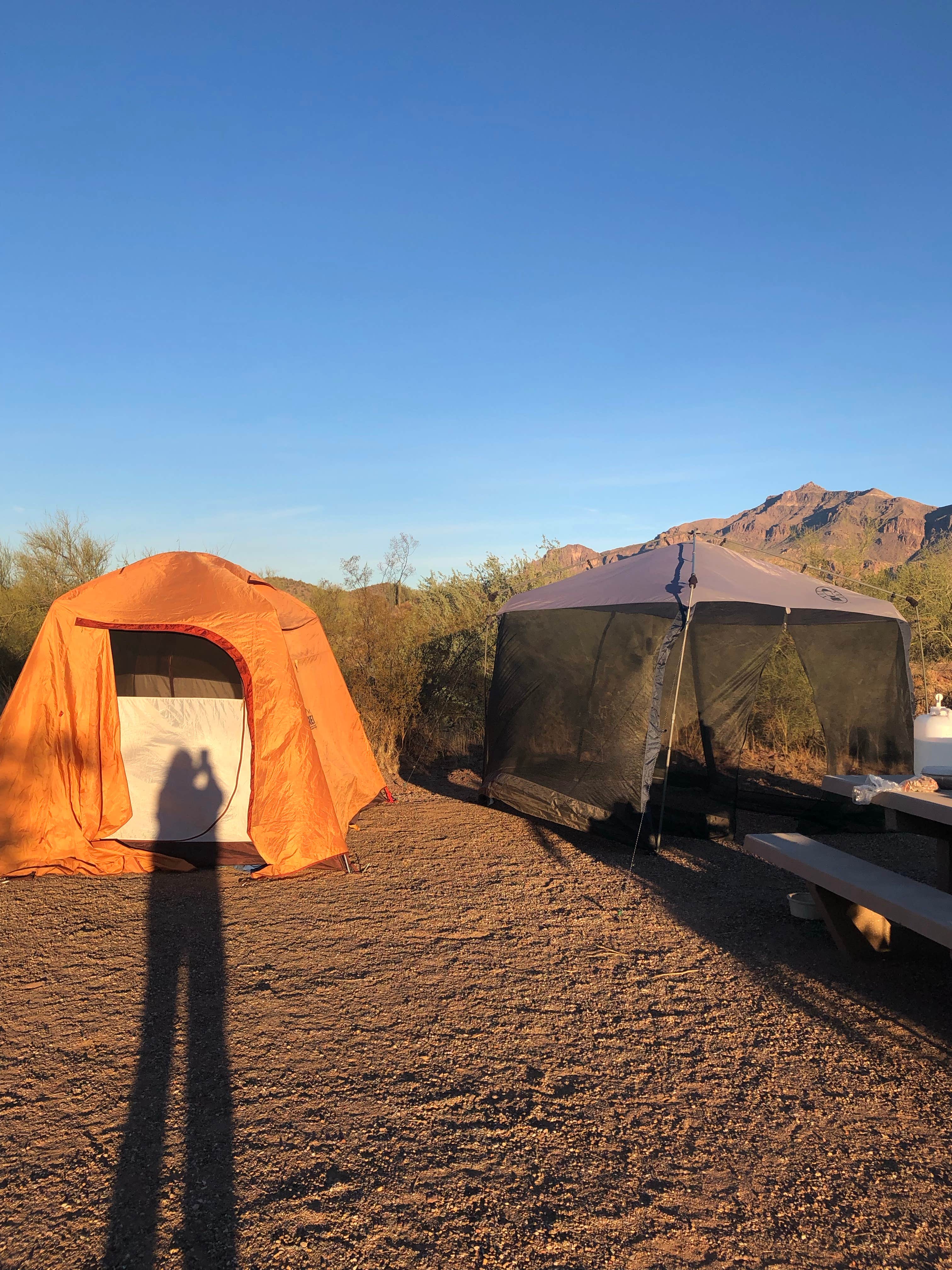 Camper-submitted photo at Peralta Regional Park Primitive Remote Campsites near Gold Canyon, AZ