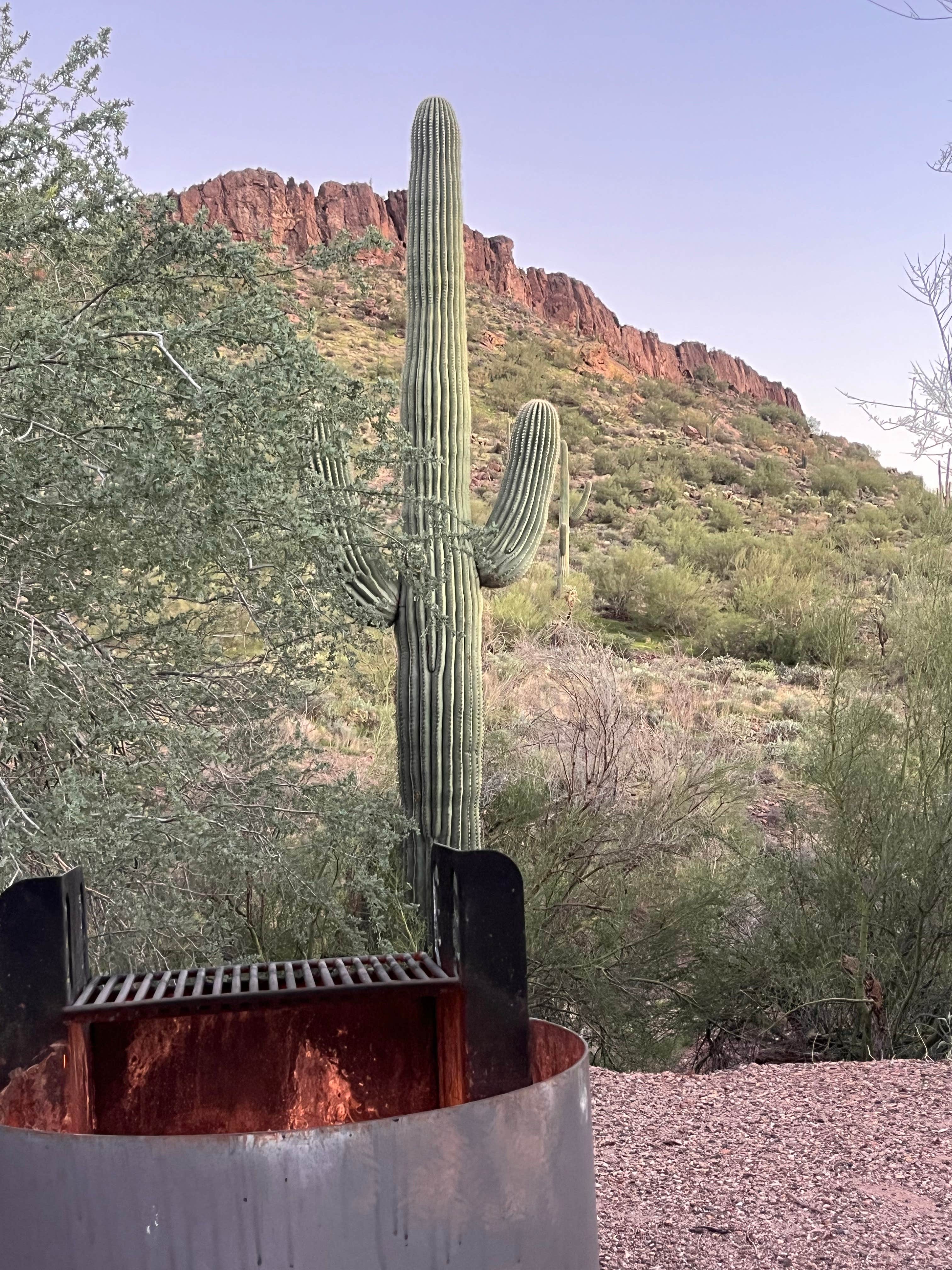 Camper-submitted photo at Peralta Regional Park Primitive Remote Campsites near Gold Canyon, AZ