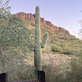 Review photo of Peralta Regional Park Primitive Remote Campsites by Julie F., November 8, 2025