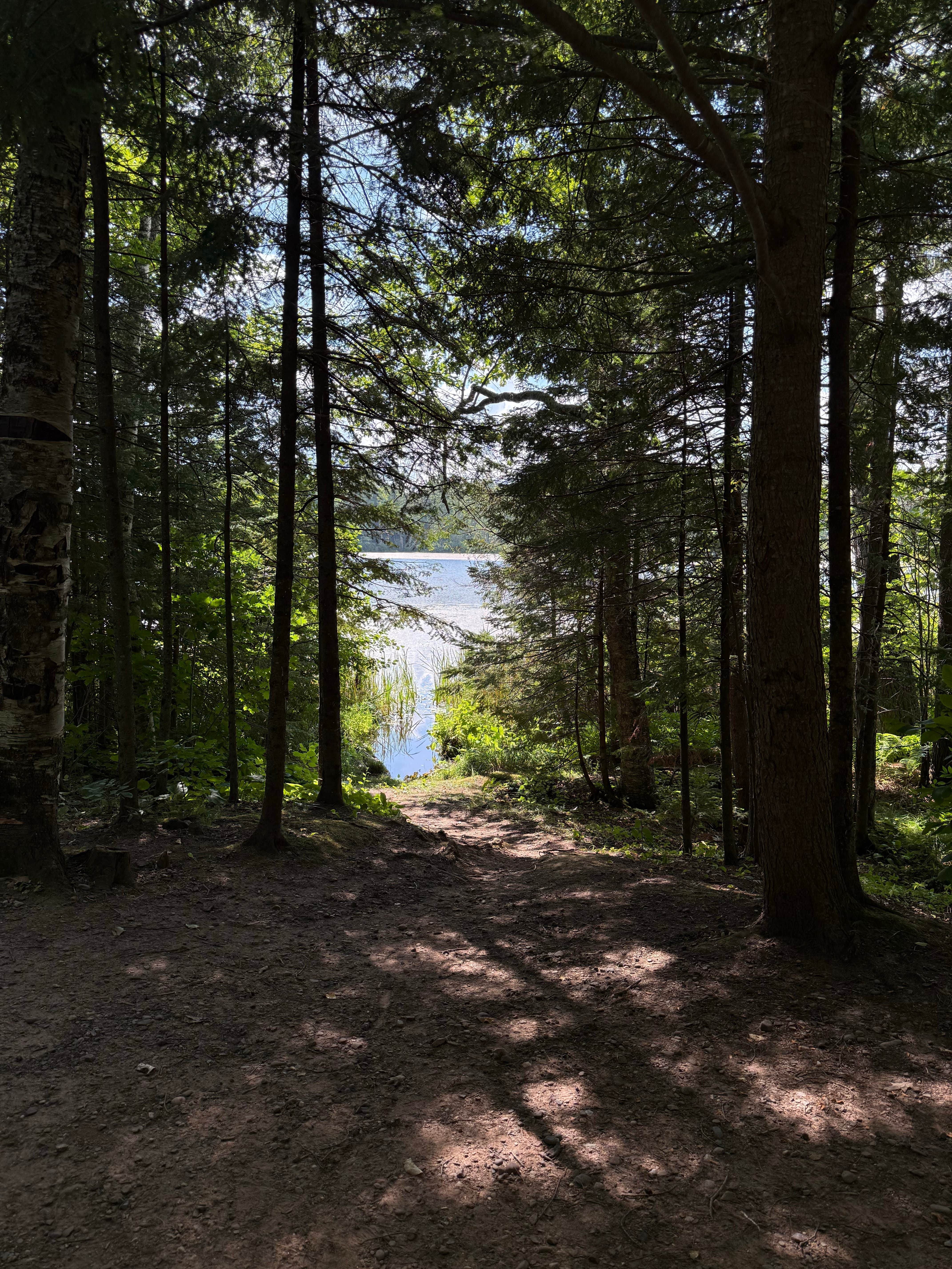 Camper submitted image from Perch Lake Campground (Drummond, WI) - 4