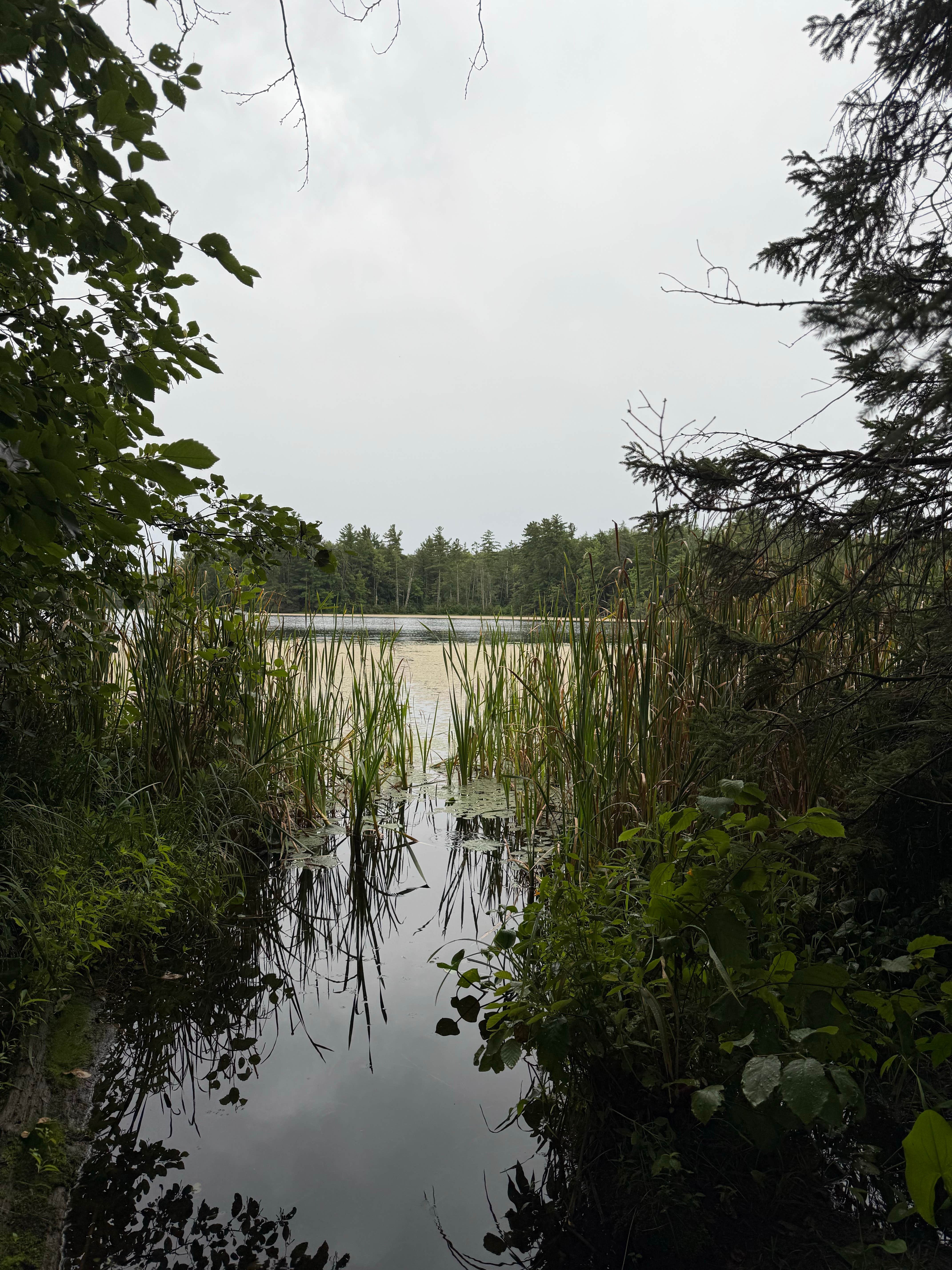 Camper-submitted photo at Perch Lake Campground (Drummond, WI) near Drummond, WI