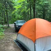 Review photo of Perch Lake Campground (Drummond, WI) by Hayli B., August 12, 2025