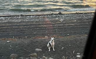 Amy W.'s photo of camping with pets at Perch Point Wild Camping Area near Ritzville, WA