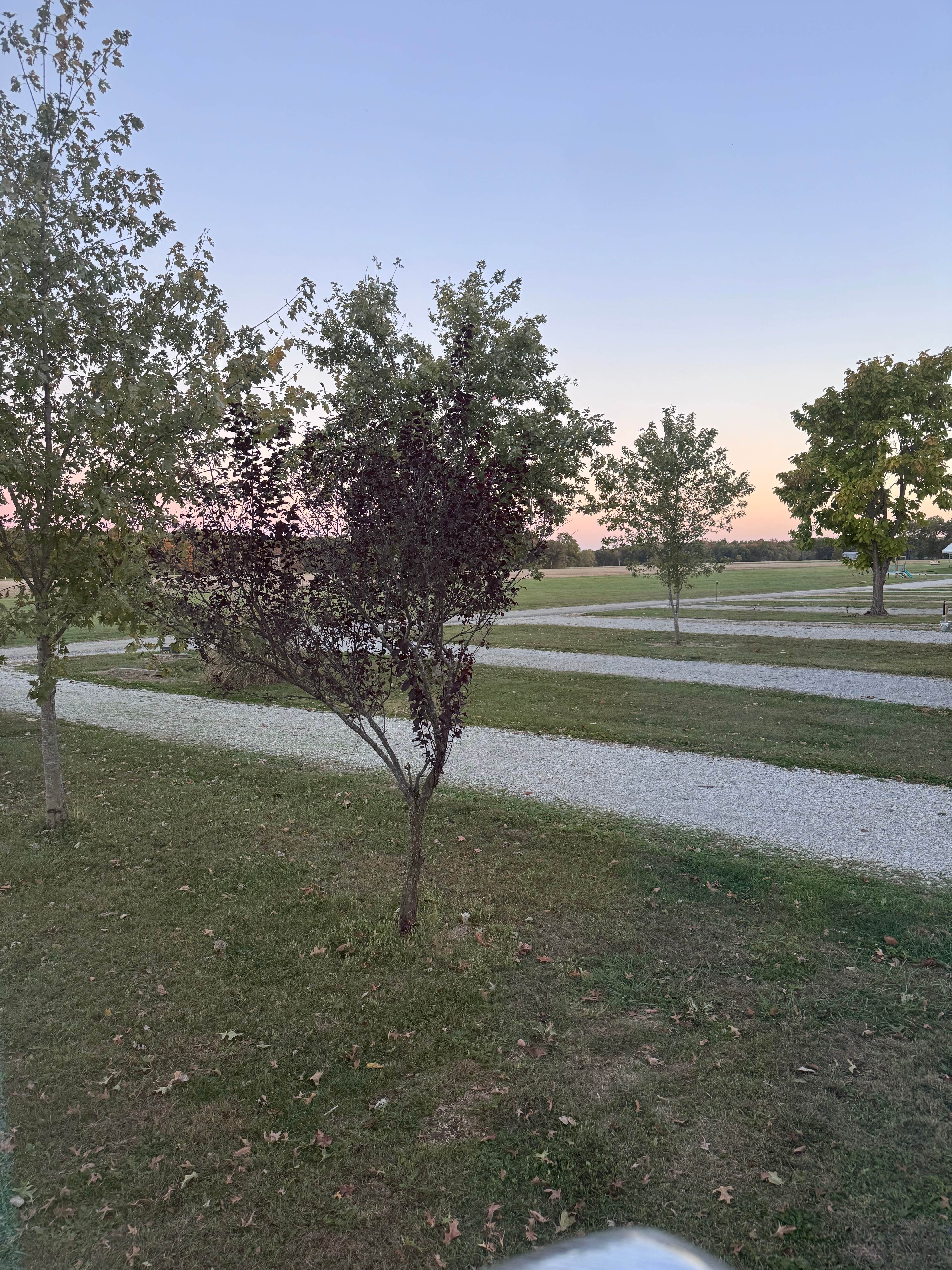 Camper-submitted photo at Percival Springs RV Campground near Newton, IL