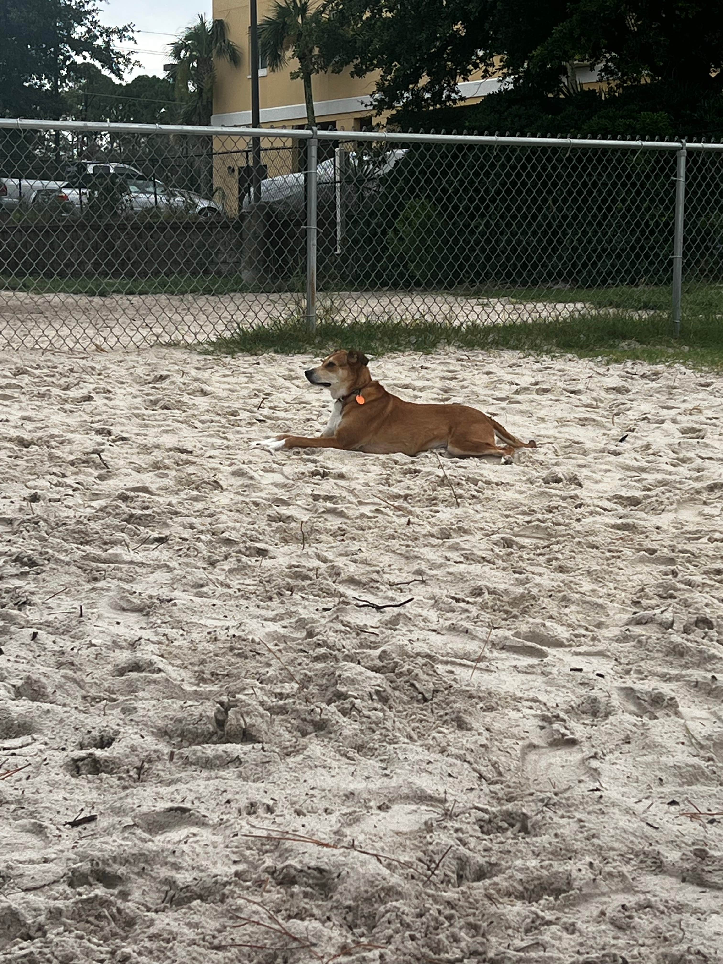 Jenny's photo of camping with pets at Perdido Key RV Resort near Foley, AL